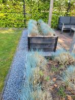 Douglas potdeksel bloembak plantenbakken, Tuin en Terras, Ophalen, Gebruikt, 100 cm of meer, Rechthoekig