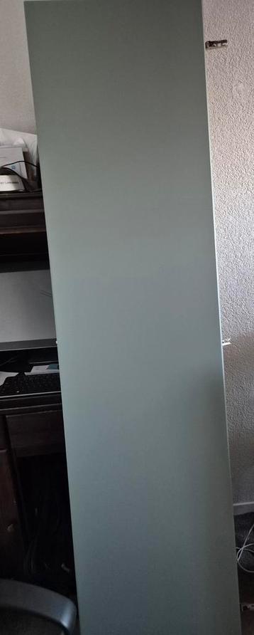 Ikea Pax Reinsvoll grijsgroen deur 50x195 - afbeelding 1