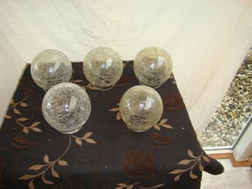 Craquele  bollen beschikbaar voor biedingen