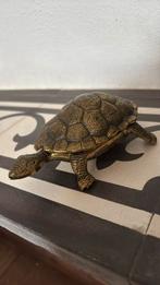 Vintage messing schildpad schaaltje bewaar bakje, Antiek en Kunst, Ophalen of Verzenden