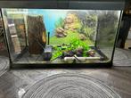 Capri Aquarium, Dieren en Toebehoren, Ophalen, Gebruikt