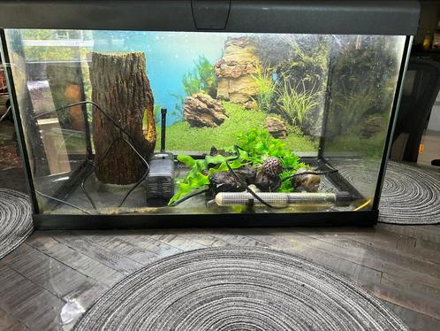 Capri Aquarium, Dieren en Toebehoren, Vissen | Aquaria en Toebehoren, Gebruikt, Ophalen