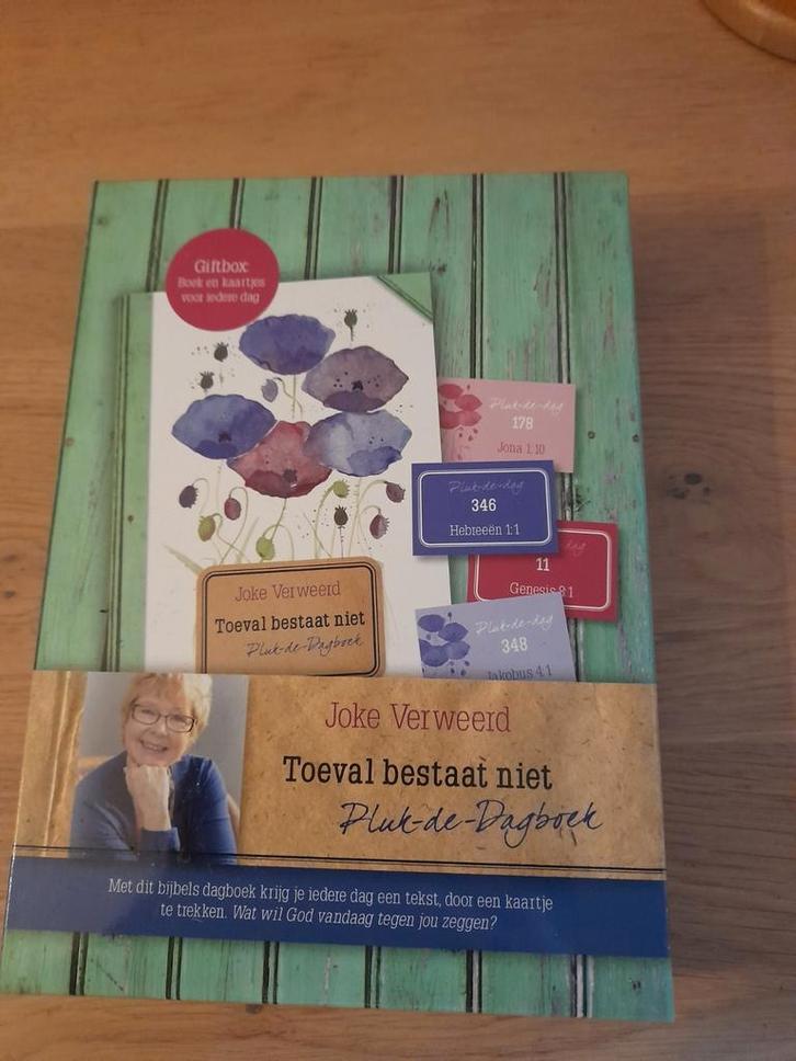 Joke Verweerd - Toeval bestaat niet, Boeken, Godsdienst en Theologie, Nieuw, Ophalen of Verzenden