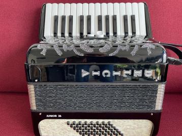 Z.g.a.n. kleine Delicia accordeon . 48 bas .  beschikbaar voor biedingen