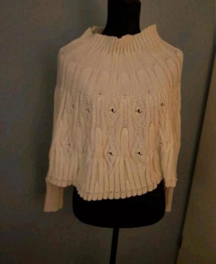 Nieuwe crème kleurige poncho met mouwen
Maat S, Kleding | Dames, Truien en Vesten, Nieuw, Maat 36 (S), Overige kleuren, Ophalen of Verzenden