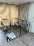 Honden ren, Dieren en Toebehoren, Ophalen of Verzenden, Zo goed als nieuw, 110 cm of meer