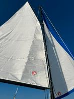 Polyvalk, Watersport en Boten, Ophalen, Gebruikt, 6 meter of meer, Overige brandstoffen