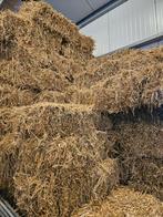 Bonenstro, Dieren en Toebehoren, Ophalen of Verzenden, Vee