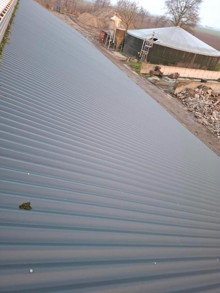 Sandwich dakpanelen dak platen panelen golfstructuur plaat, Dieren en Toebehoren, Stalling en Weidegang