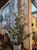 Kerstboompje "WOONWINKEL RUSTIEK ", Ophalen of Verzenden