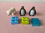 Duploset Dierentuin Vrienden Set 10501, Ophalen of Verzenden, Gebruikt, Complete set, Duplo
