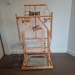 Speeltoestel vogel / papegaai, Mannelijk, Parkiet