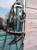 Hoofdstel rondgenaaid maat full, incl dubbel gebroken bit, Ophalen of Verzenden, Gebruikt, Dressuur