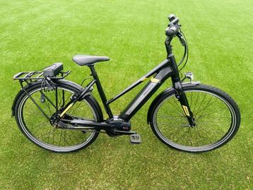 Te koop Pegasus tecaro evo Ebike belt beschikbaar voor biedingen