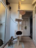 Kattenkrabpaal, Dieren en Toebehoren, Ophalen, Gebruikt, Krabpaal