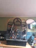 Grote parkieten/kleine papegaaien kooi incl onderstel, Ophalen of Verzenden, Zo goed als nieuw, Metaal, Vogelkooi