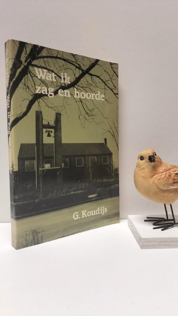 Koudijs, G,; Wat ik zag en hoorde, Boeken, Godsdienst en Theologie, Gelezen, Christendom | Protestants, Ophalen of Verzenden