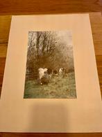 Willem Maris - Melktijd - Hollandse School Print, Ophalen of Verzenden