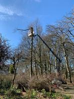 Boomverzorger - klimtechniek/hovenier, Ophalen of Verzenden, Lente
