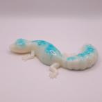 epoxy gekko *ge4, Ophalen of Verzenden, Nieuw, Dier