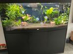 Aqualantis aquarium Volga 450 met onderkast en apparatuur., Ophalen of Verzenden, Zo goed als nieuw, Leeg aquarium