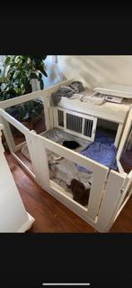 Solide houten kitty/puppyren met plexiglas zgan, Ophalen, Zo goed als nieuw