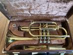 YCR 231 Yamaha cornet NIEUW, Muziek en Instrumenten, Blaasinstrumenten | Trompetten, Ophalen of Verzenden, Nieuw, Overige typen