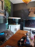 Te koop Hoek aquarum, Dieren en Toebehoren, Vissen | Aquaria en Toebehoren, Ophalen of Verzenden, Leeg aquarium