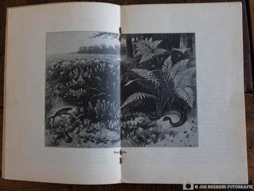 Schoolplaat boekje – Reptilien, Antiek en Kunst, Antiek | Schoolplaten, Natuur en Biologie, Verzenden