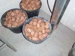 Houtbriketten, Tuin en Terras, Haardhout, Minder dan 3 m³, Ophalen, Overige houtsoorten, Blokken