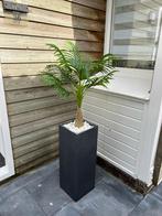 Kunstboom ,palmboom 1.60 hoogte  nieuwe, Tuin en Terras, 60 cm of meer, Kunststof, Rond, Zo goed als nieuw
