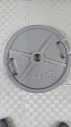 25kg gewichten, set van 4 halterschijven, Sport en Fitness, Fitnessmaterialen, Ophalen, Zo goed als nieuw, Halterschijven