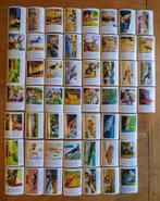 AH dieren plaatjes - op avontuur met Freek, Verzamelen, Supermarktacties, Albert Heijn, Ophalen of Verzenden