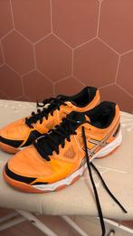 Korfbal of hockey schoenen 37,5 aesics, Sport en Fitness, Korfbal, Ophalen of Verzenden, Gebruikt, Schoenen