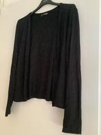 Zwart Norah vestje maat 44, Kleding | Dames, Grote Maten, Zwart, Trui of Vest, Ophalen of Verzenden, Zo goed als nieuw