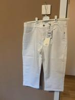 Dames broek Angel, wit mt 40, Ophalen of Verzenden, Zo goed als nieuw, Wit, W30 - W32 (confectie 38/40)