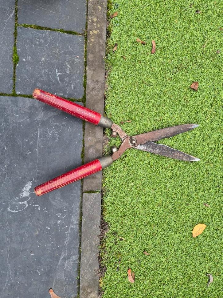Diversen tuingereedschap, Tuin en Terras, Heggenscharen, Gebruikt, Elektrisch, Ophalen