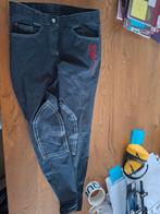 Qhp rijbroek Stevie maat 38, Dieren en Toebehoren, Paardrijkleding, Ophalen of Verzenden, Nieuw, Dressuur, Onderkleding