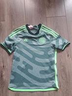 Voetbalshirt 'The celtic foodball club', Maat XS of kleiner, Ophalen of Verzenden, Zo goed als nieuw, Shirt