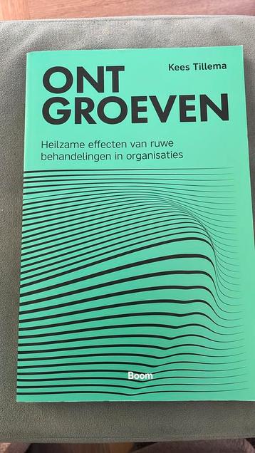K. Tillema - Ontgroeven beschikbaar voor biedingen