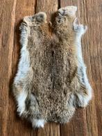 Konijnenvachten wildkleur, Ophalen of Verzenden, Nieuw