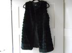 Eksept, zwart hes/gilet/bodywarmer van Faux Fur, maat XS/S., Kleding | Dames, Zwart, Ophalen of Verzenden, Zo goed als nieuw, Eksept