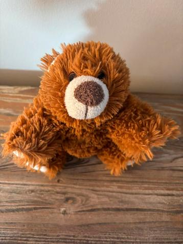 GRATIS Schattig klein kikabeertje nieuwstaat beschikbaar voor biedingen