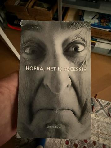 Hoera het is recessie Maarten Faber beschikbaar voor biedingen