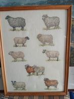 borduur geiten schilderij, Ophalen of Verzenden, Borduurpakket