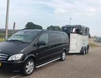 Paarden taxi / paarden transport aangeboden, Dieren en Toebehoren, Paarden en Pony's | Trailers en Aanhangwagens, 2-paards trailer