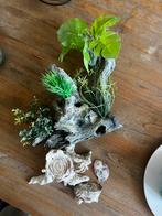 Aquarium/terrarium decorations, Ophalen of Verzenden, Zo goed als nieuw, Leeg aquarium