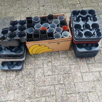 Kleine kweekpotjes en trays beschikbaar voor biedingen