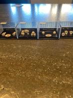 Reuter miniatuur porselein, Ophalen, Zo goed als nieuw, Toebehoren