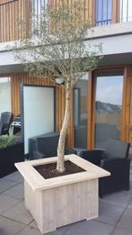 Plantenbak van steigerhout, Nieuw, Ophalen of Verzenden, 60 tot 100 cm, 60 cm of meer